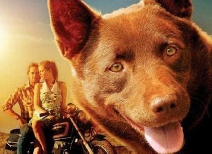 Red dog australian film. Things To Know About Red dog australian film. 
